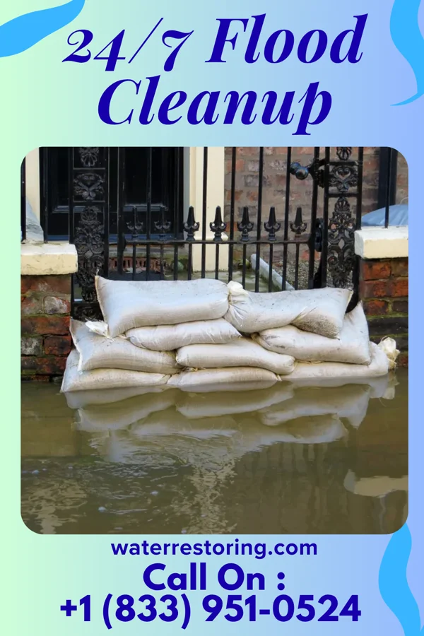 24/7 Flood Cleanup in Crystal Beach, NY