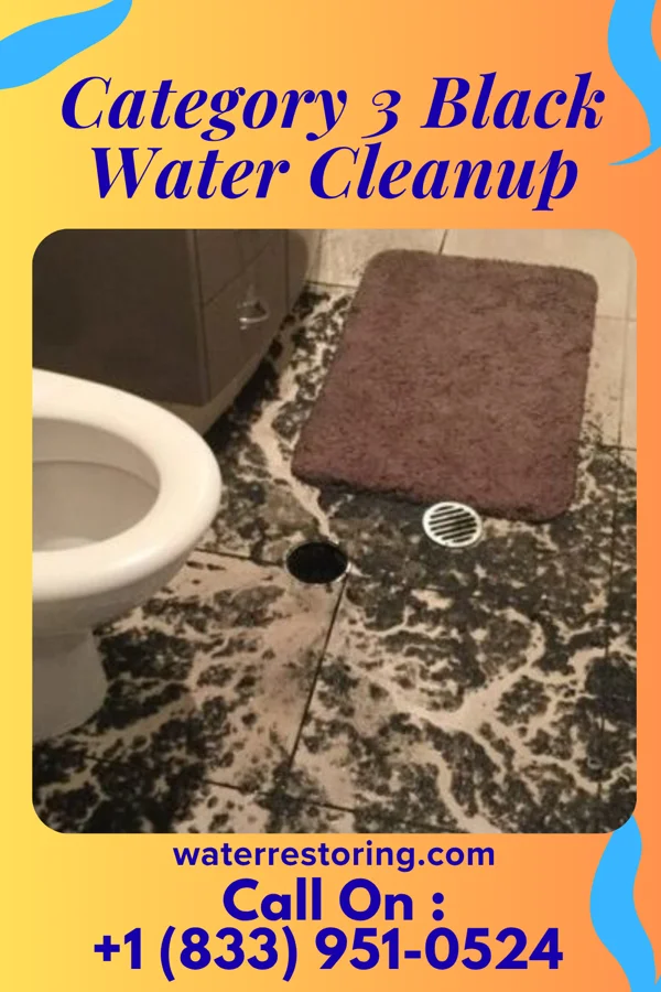 Category 3 Black Water Cleanup in Crystal Beach, NY