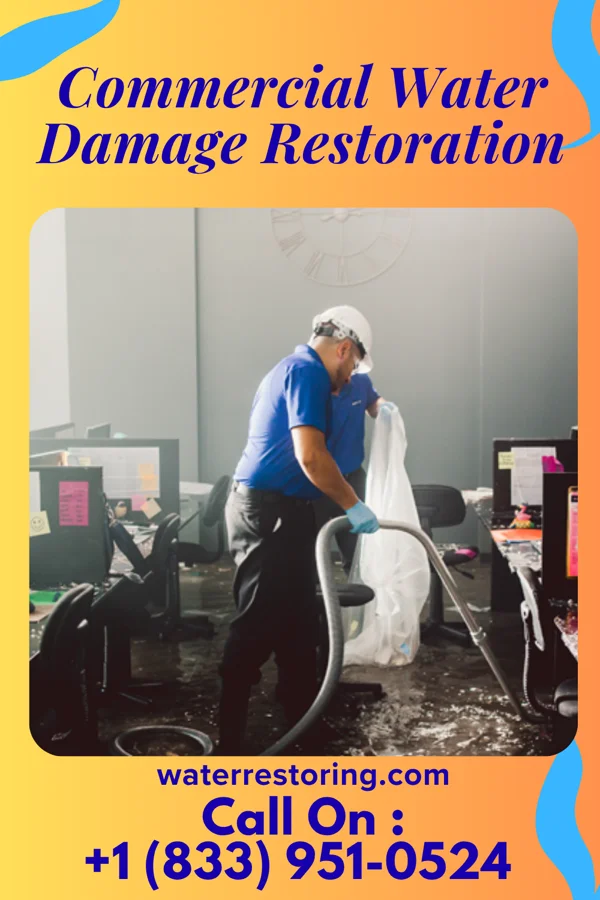 Commercial Water Damage Restoration in Crystal Beach, NY