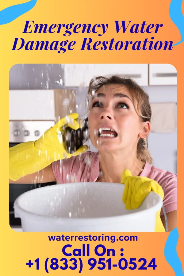 Emergency Water Damage Restoration in Crystal Beach, NY