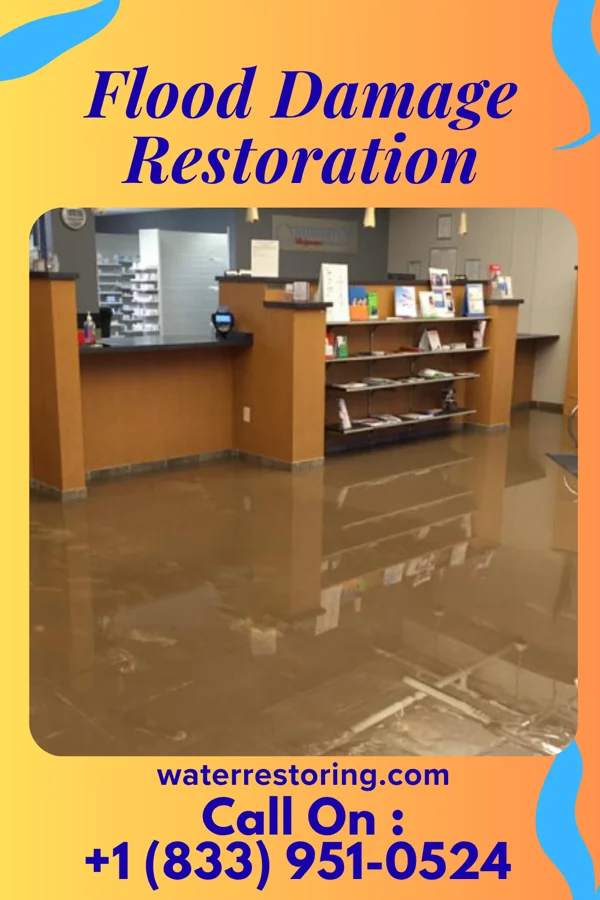 Flood Damage Restoration in Crystal Beach, NY