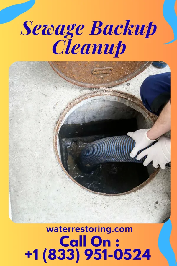 Sewage Backup Cleanup in Crystal Beach, NY